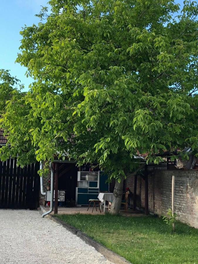 Borbély Vendégház Villa Nagykanizsa Exterior foto